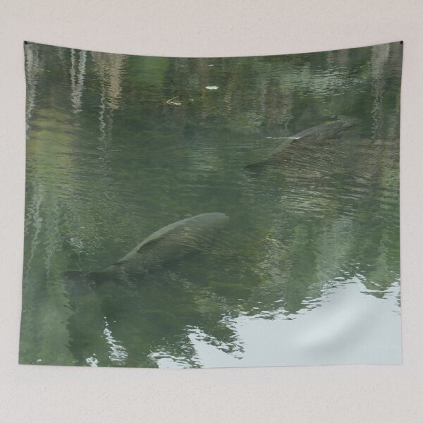 Item preview, Amazonian Fish designed and sold by Malcolm Snook.