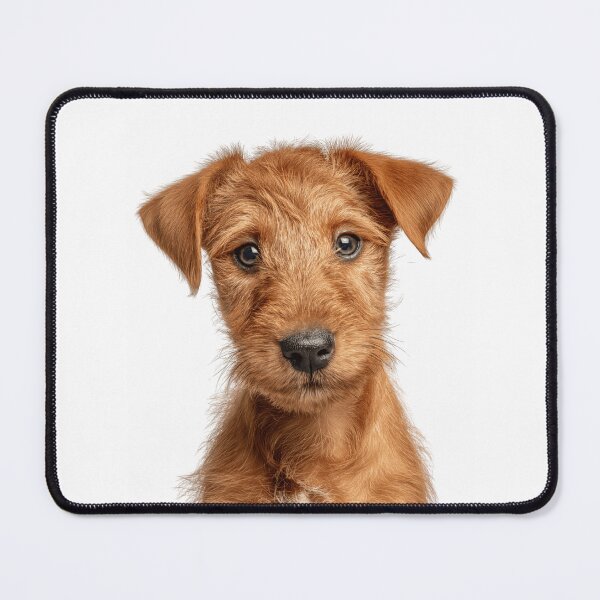 Item preview, Adorable Irish Terrier for Cute Irish Terrier puppy lovers designed and sold by LazyOwlStore.