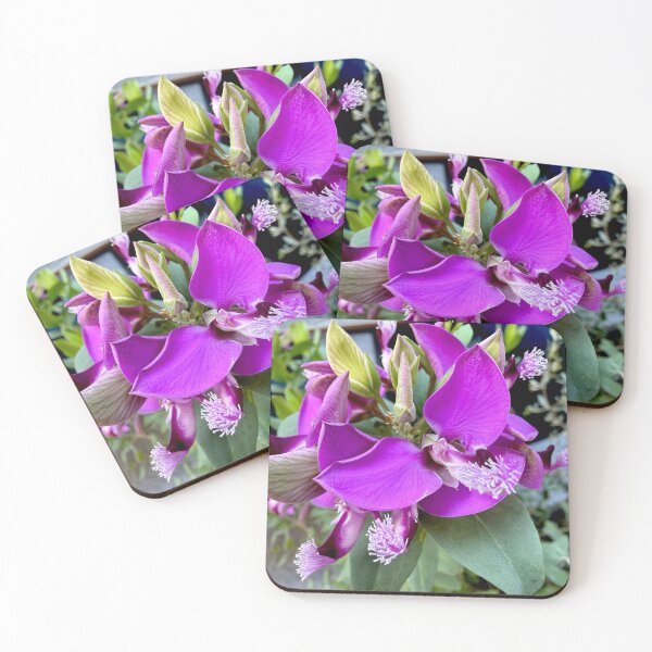 Item preview, Vibrant Purple Myrtle-Leaf Milkwort Sweet Pea Bush designed and sold by BalkanBloomArt.