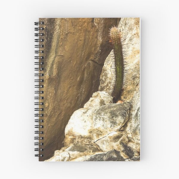 Item preview, cactus on the rock designed and sold by felipequeiroz.