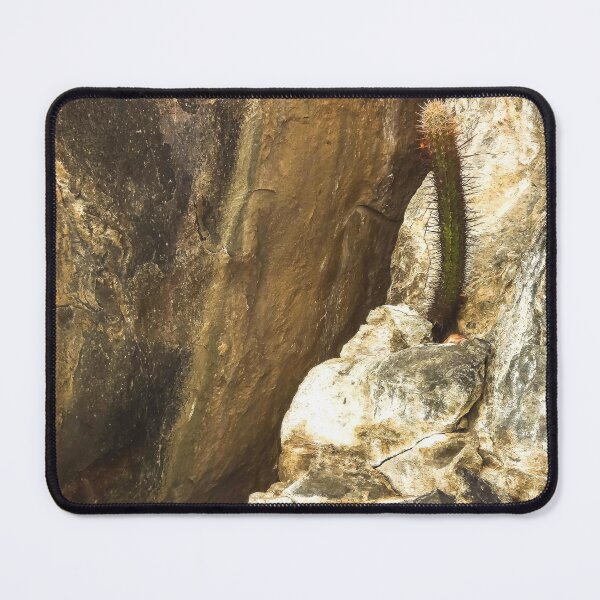 Item preview, cactus on the rock designed and sold by felipequeiroz.