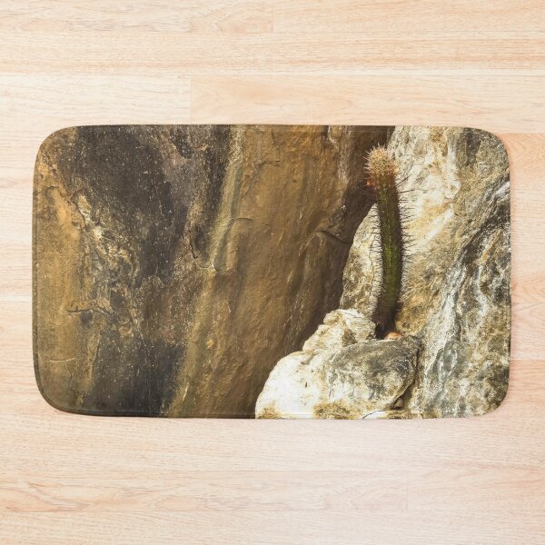 Item preview, cactus on the rock designed and sold by felipequeiroz.