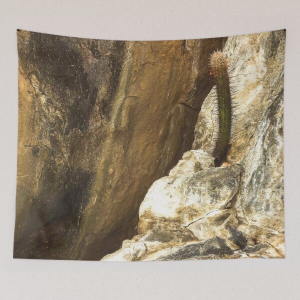 Item preview, cactus on the rock designed and sold by felipequeiroz.