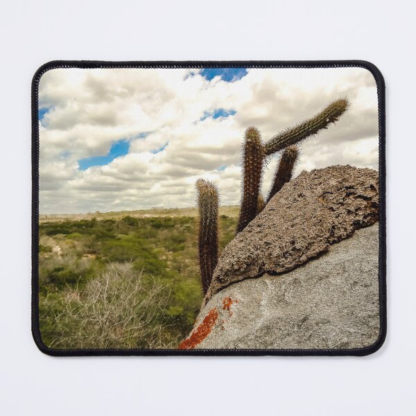 Item preview, cacti in the mountains designed and sold by felipequeiroz.