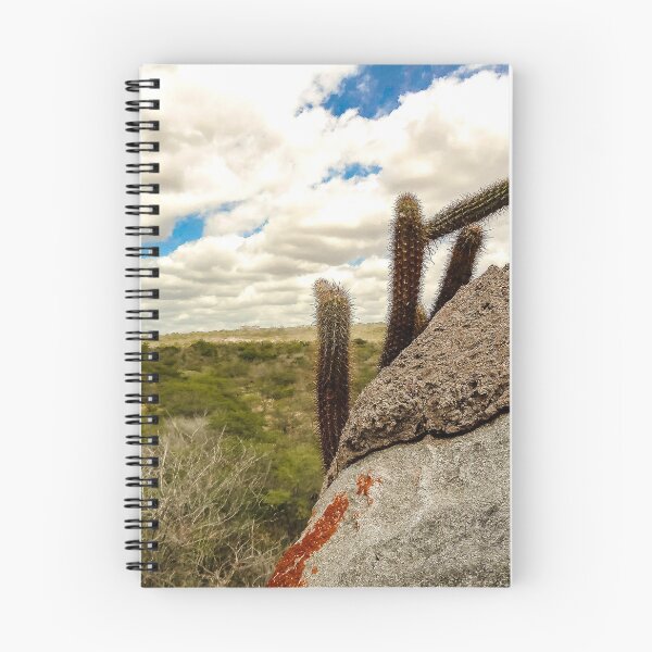 Item preview, cacti in the mountains designed and sold by felipequeiroz.