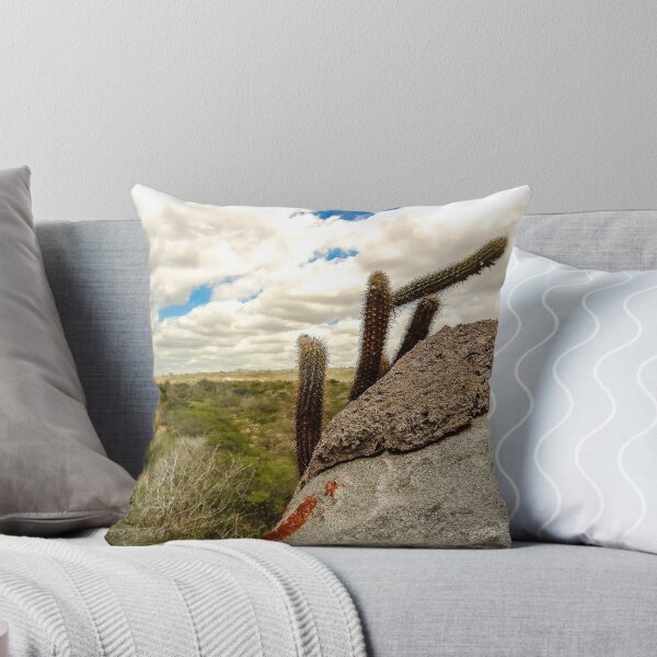 Item preview, cacti in the mountains designed and sold by felipequeiroz.