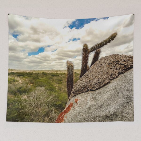 Item preview, cacti in the mountains designed and sold by felipequeiroz.