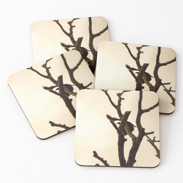 Item preview, blackbird in the tree designed and sold by felipequeiroz.