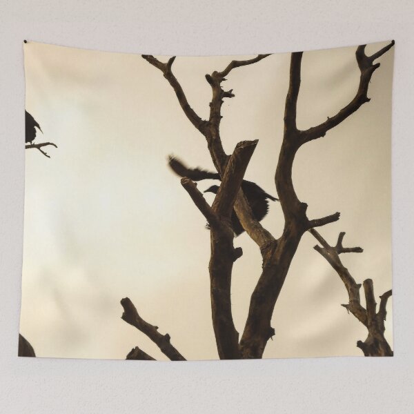 Item preview, blackbird in the tree designed and sold by felipequeiroz.