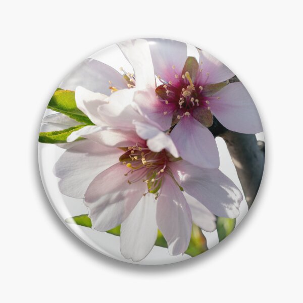 Item preview, Almond blossoms blooming on a branch with a transparent background designed and sold by elopezstock.