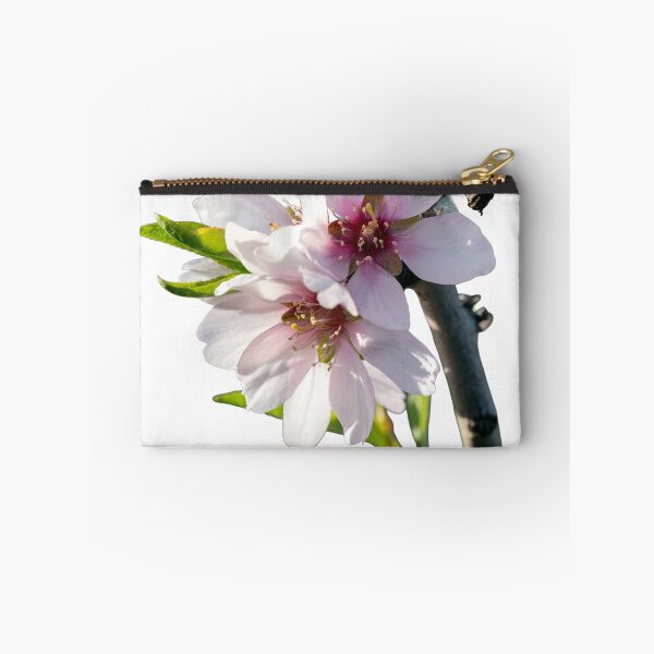 Item preview, Almond blossoms blooming on a branch with a transparent background designed and sold by elopezstock.