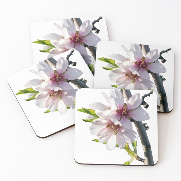 Item preview, Almond blossoms blooming on a branch with a transparent background designed and sold by elopezstock.