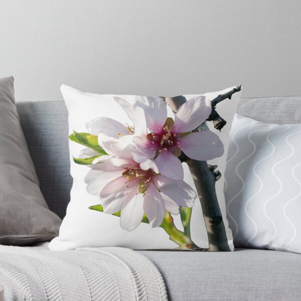 Item preview, Almond blossoms blooming on a branch with a transparent background designed and sold by elopezstock.