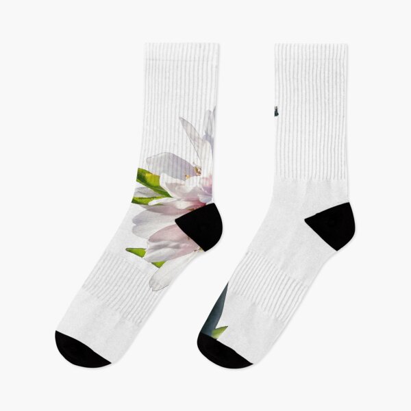 Item preview, Almond blossoms blooming on a branch with a transparent background designed and sold by elopezstock.