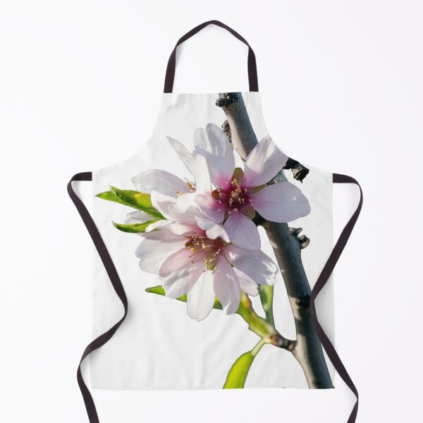 Item preview, Almond blossoms blooming on a branch with a transparent background designed and sold by elopezstock.