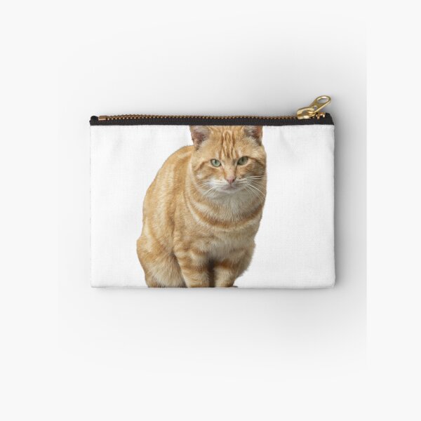 Item preview, Un gato con ojos verdes está sentado sobre un fondo blanco. designed and sold by elopezstock.