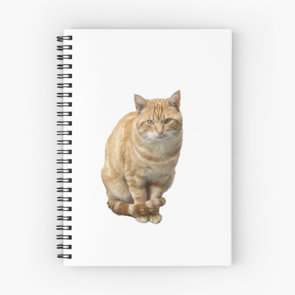 Item preview, A cat with green eyes is sitting on a white background. designed and sold by elopezstock.