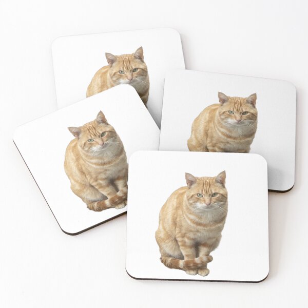 Item preview, A cat with green eyes is sitting on a white background. designed and sold by elopezstock.