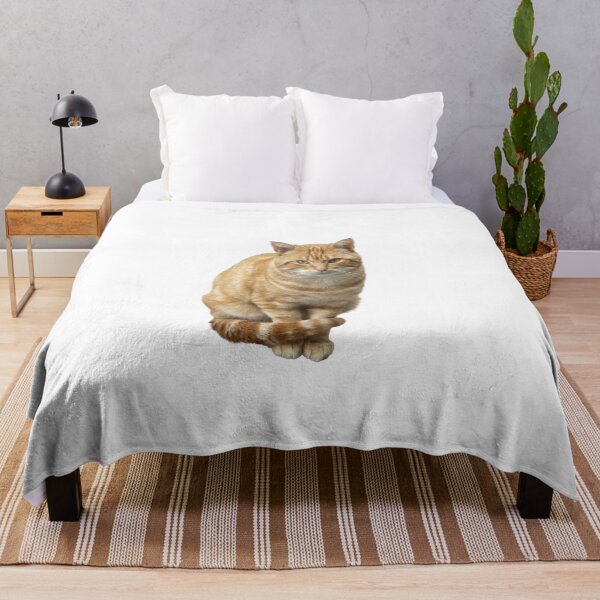 Item preview, A cat with green eyes is sitting on a white background. designed and sold by elopezstock.