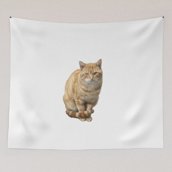 Item preview, A cat with green eyes is sitting on a white background. designed and sold by elopezstock.