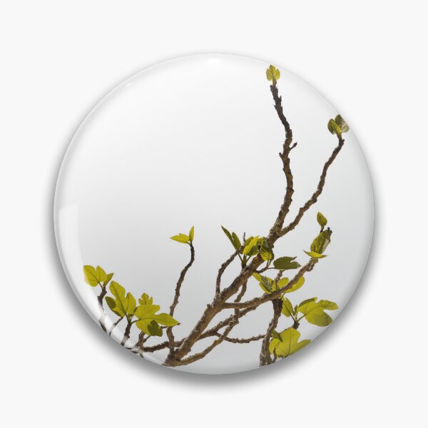 Item preview, Green shoots of a fig tree designed and sold by elopezstock.