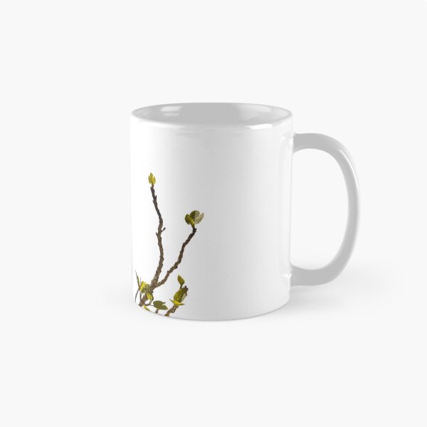 Item preview, Green shoots of a fig tree designed and sold by elopezstock.