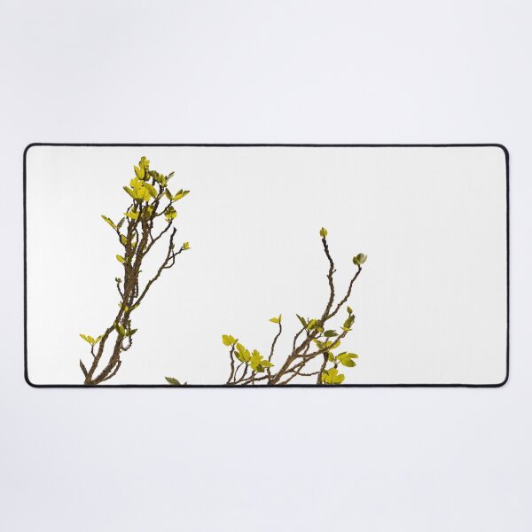 Item preview, Green shoots of a fig tree designed and sold by elopezstock.