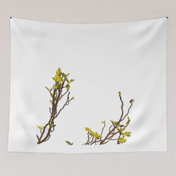 Item preview, Green shoots of a fig tree designed and sold by elopezstock.