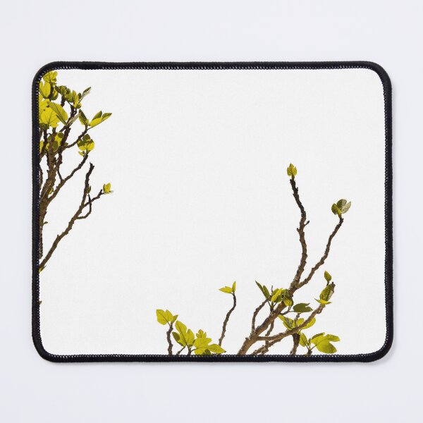 Item preview, Green shoots of a fig tree designed and sold by elopezstock.