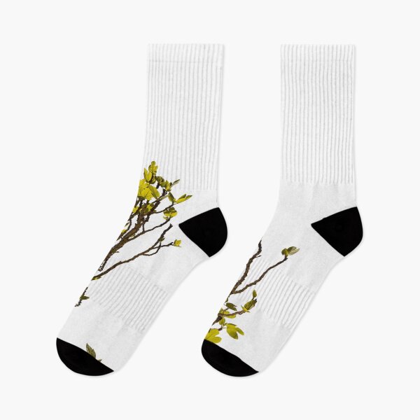 Item preview, Green shoots of a fig tree designed and sold by elopezstock.