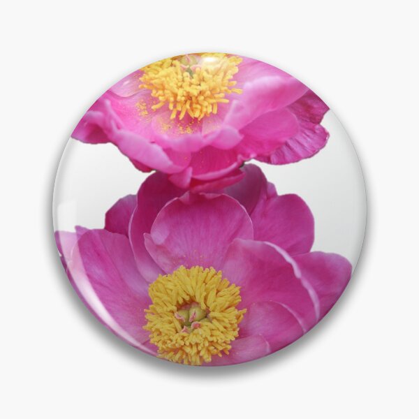 Item preview, Chinese Peony Duo Beauty designed and sold by BostonArcImage.