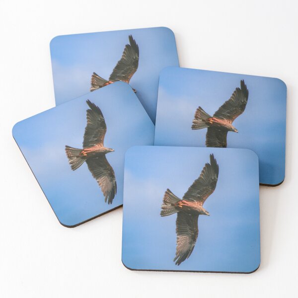 Item preview, Test designed and sold by CheyenneHein.
