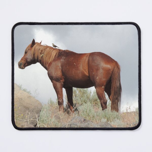 Item preview, Wild Horse and Friend designed and sold by Robert Ball.