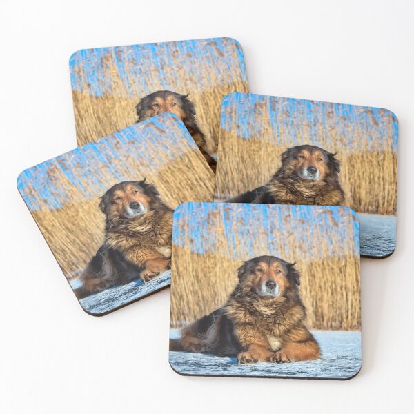 Item preview, Dog on Ice designed and sold by KosankaWear.