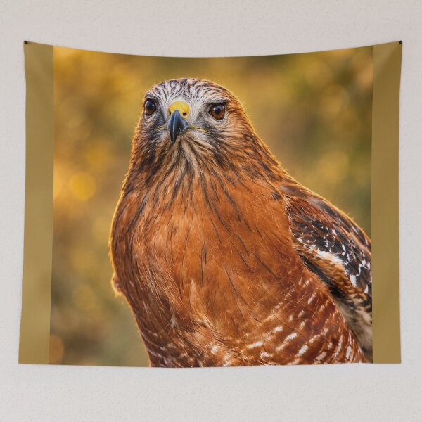 Item preview, The Watcher designed and sold by Kimberly Palmer.