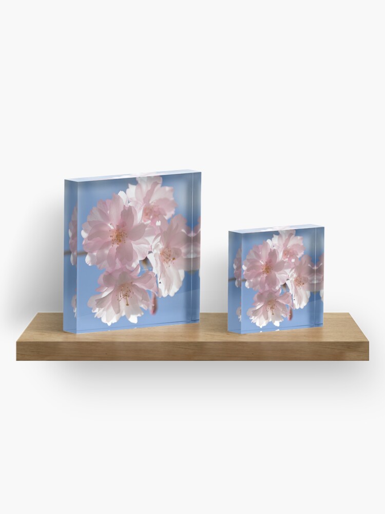 Alternate view of Cherry Blossom Photograph Acrylic Block