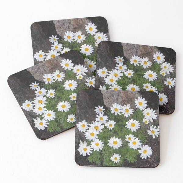 Item preview, Daisies On the Rocks designed and sold by heatherfriedman.