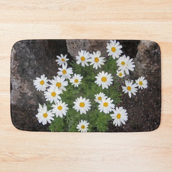 Item preview, Daisies On the Rocks designed and sold by heatherfriedman.