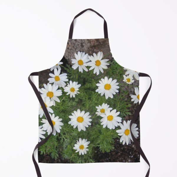Item preview, Daisies On the Rocks designed and sold by heatherfriedman.