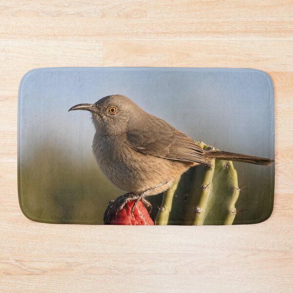 Item preview, Golden Hour Curve-Billed Thrasher on Cactus Fruit designed and sold by Kimberly Palmer.