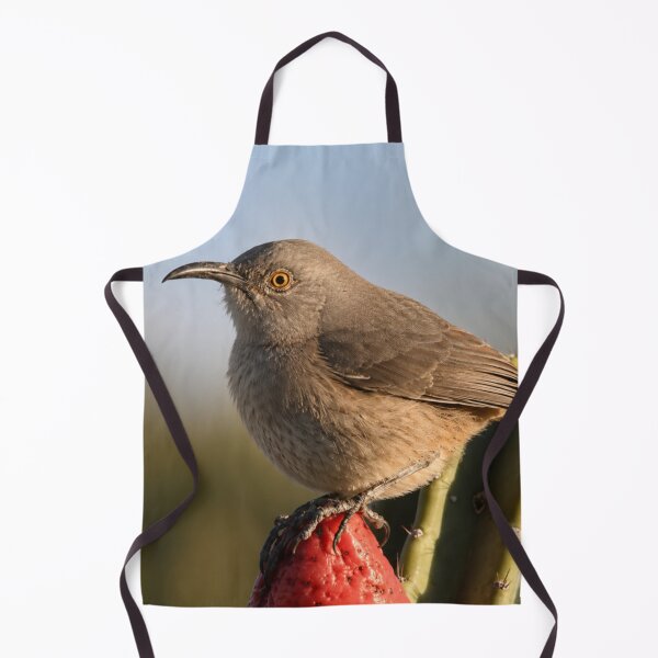 Item preview, Golden Hour Curve-Billed Thrasher on Cactus Fruit designed and sold by Kimberly Palmer.
