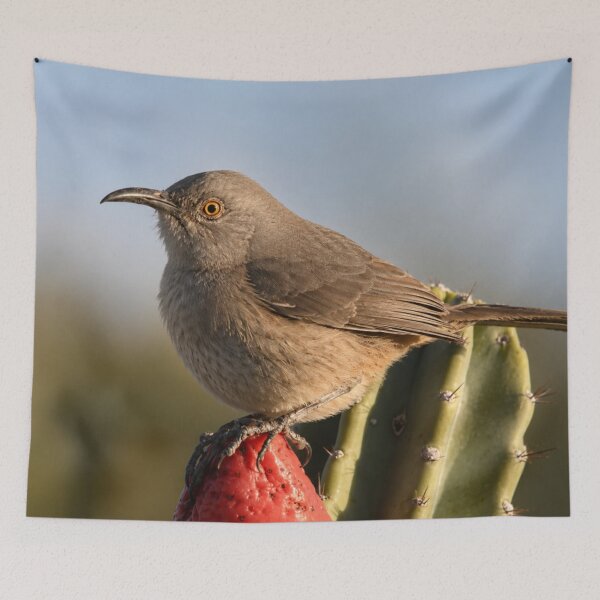 Item preview, Golden Hour Curve-Billed Thrasher on Cactus Fruit designed and sold by Kimberly Palmer.