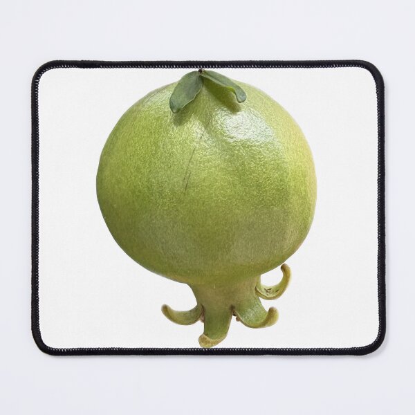 Item preview, Single unripe green pomegranate fruit with fresh stem and calyx, isolated on a clean white background, perfect for agricultural or botanical design designed and sold by pipikijung.
