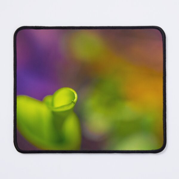 Item preview, Close-up of a Leaf Curl designed and sold by Veikko  Suikkanen.