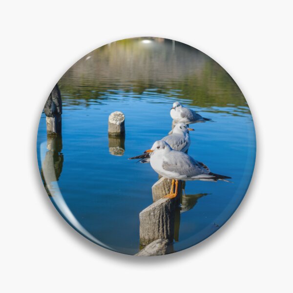 Item preview, Great Cormorant and Black-headed Gulls designed and sold by Pix4Japan.