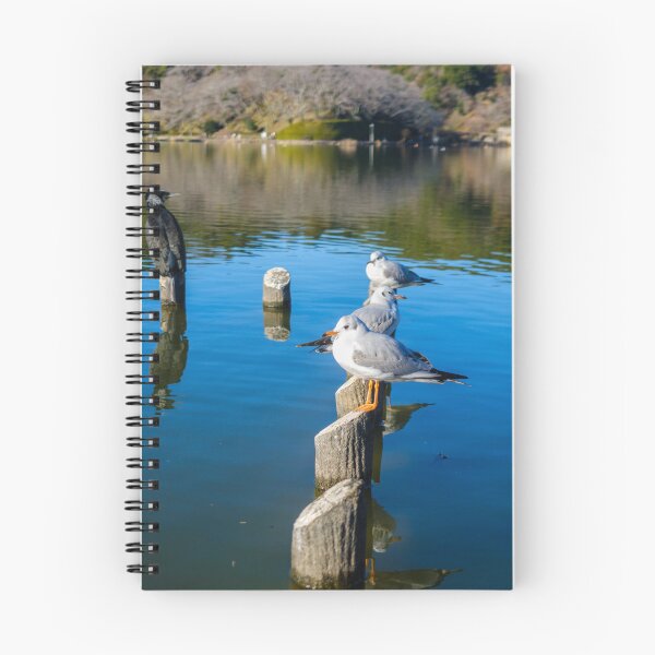 Item preview, Great Cormorant and Black-headed Gulls designed and sold by Pix4Japan.