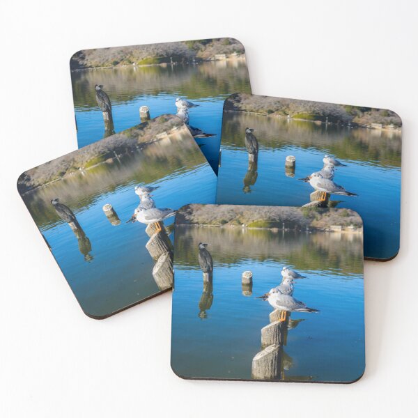Item preview, Great Cormorant and Black-headed Gulls designed and sold by Pix4Japan.