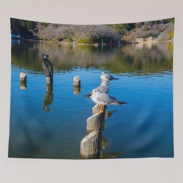 Item preview, Great Cormorant and Black-headed Gulls designed and sold by Pix4Japan.
