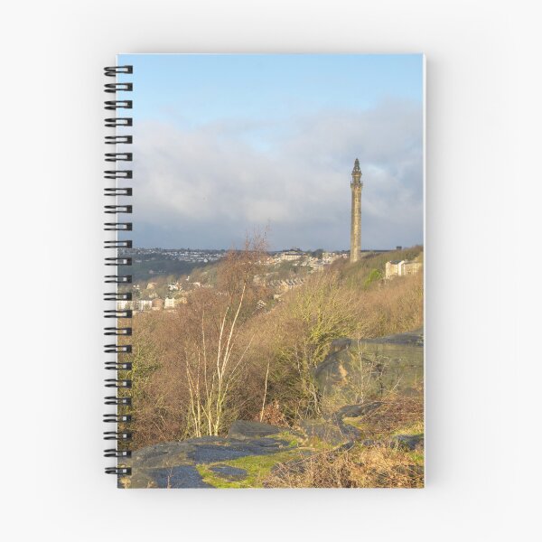 Item preview, Wainhouse Tower View from Albert Promenade, Halifax designed and sold by ArtworkNorth.