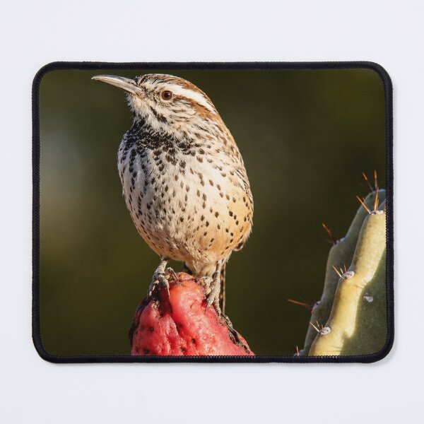 Item preview, Cactus Wren on Prickly Pear | Desert Bird Wildlife Photography designed and sold by Kimberly Palmer.
